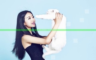 乱肉YIN荡系列合集TXT全本下载与精彩点评分享