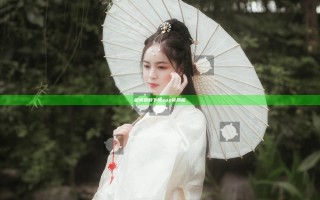樱桃视频下载app官网版