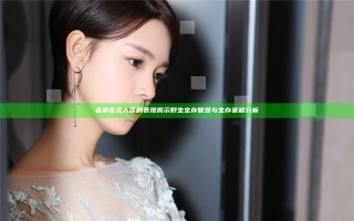 老狼在无人区的表现揭示野生生存智慧与生存策略分析