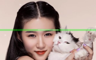 刀塔自走棋地精赌狗流怎么玩 刀塔自走棋地精赌狗流搭配推荐