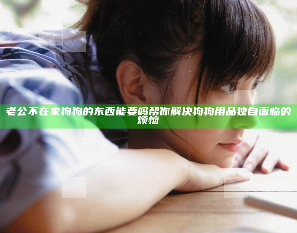 老公不在家狗狗的东西能要吗 帮你解决狗狗用品独自面临的烦恼
