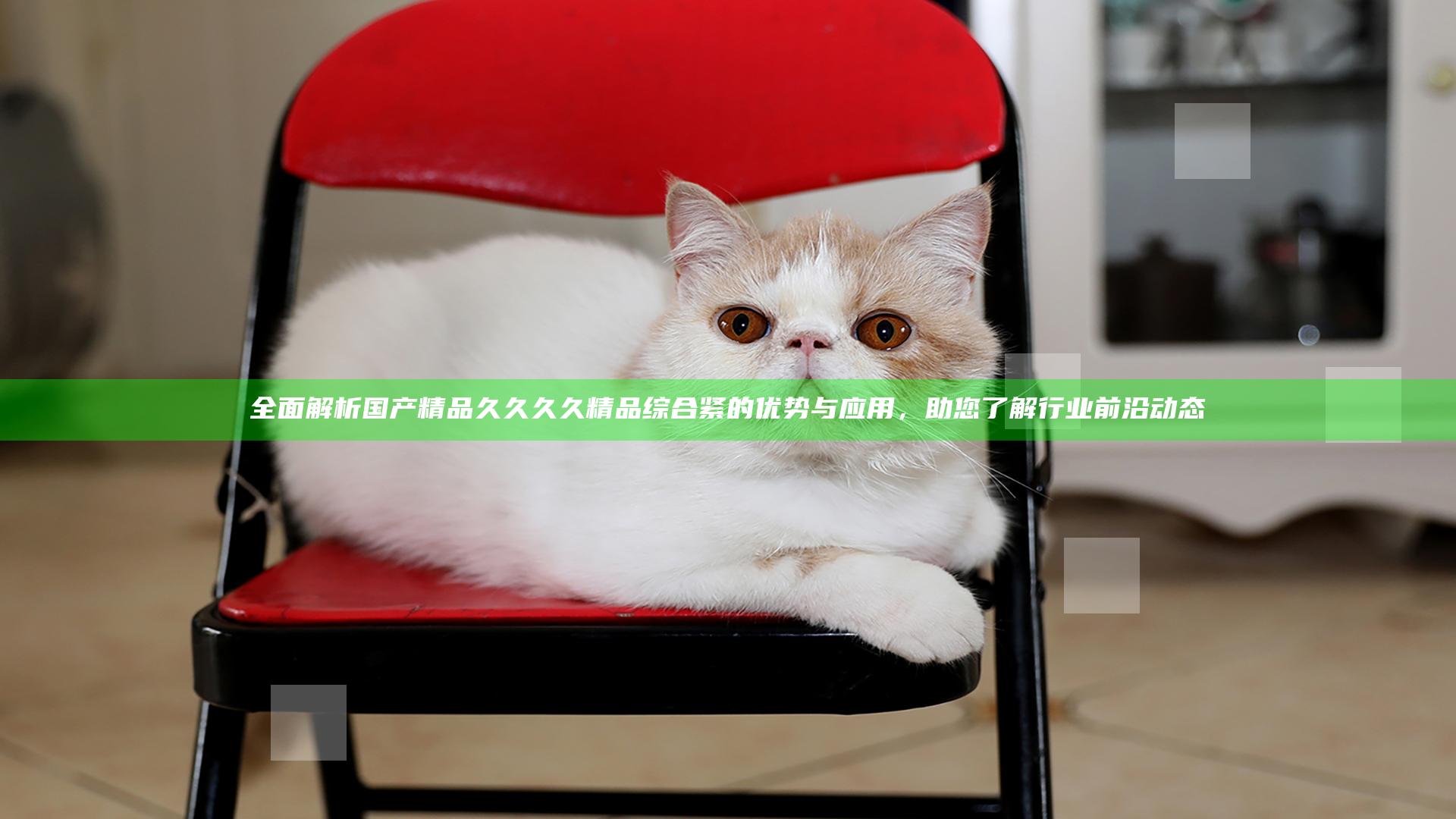 全面解析国产精品久久久久精品综合紧的优势与应用，助您了解行业前沿动态