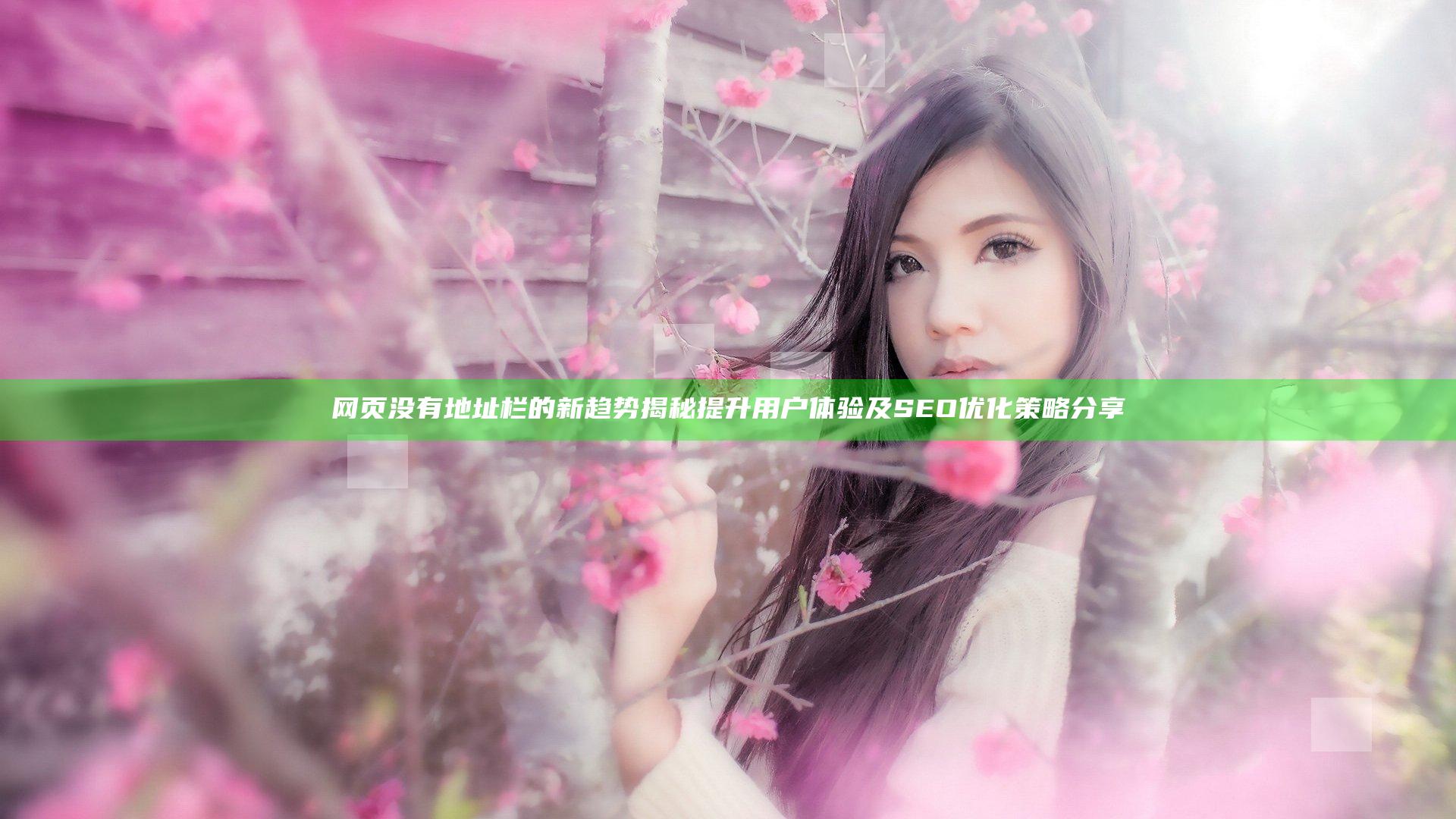 网页没有地址栏的新趋势揭秘 提升用户体验及SEO优化策略分享