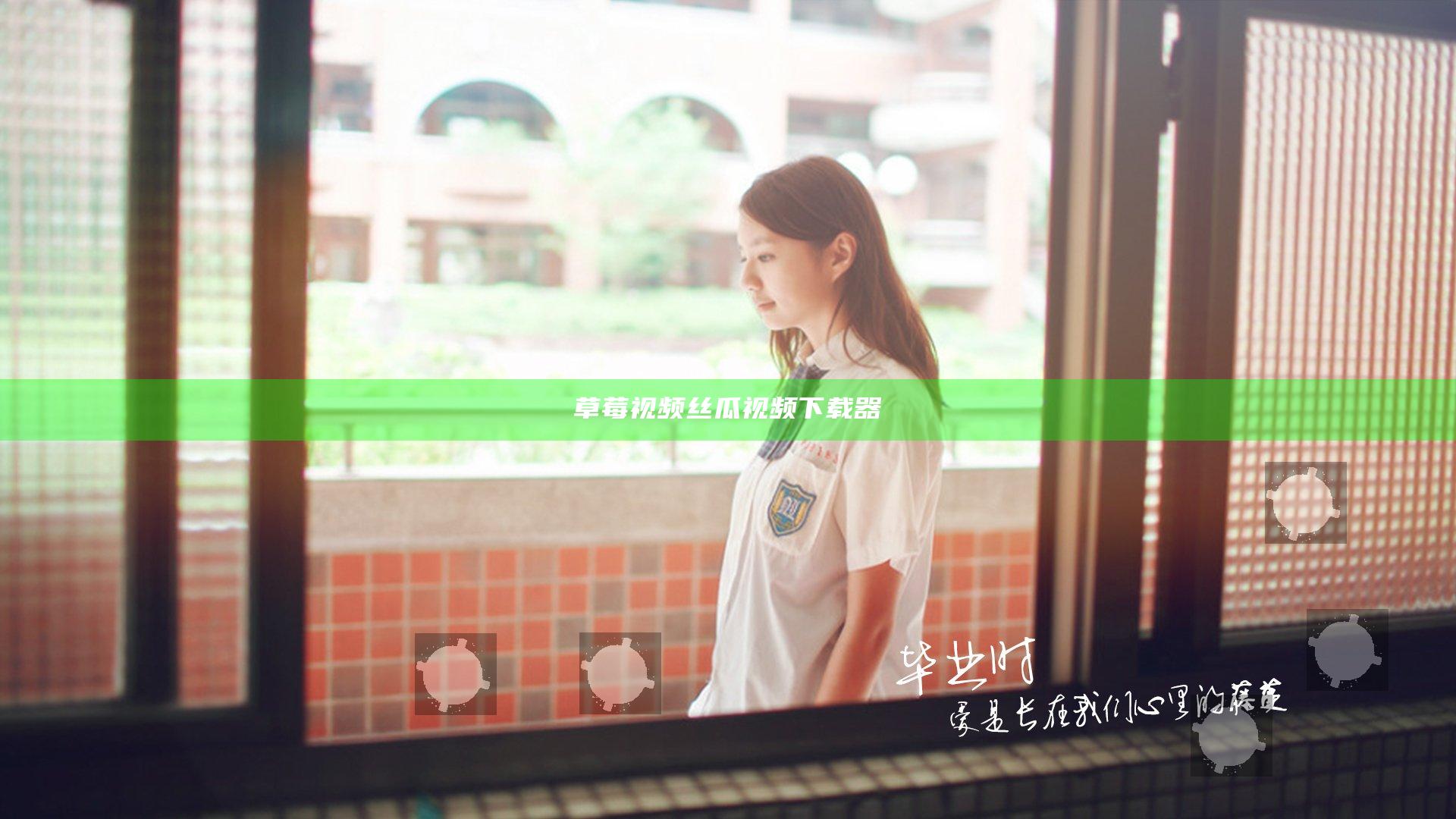 草莓视频丝瓜视频下载器