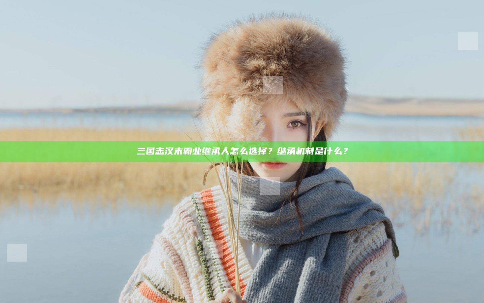 三国志汉末霸业继承人怎么选择？继承机制是什么？
